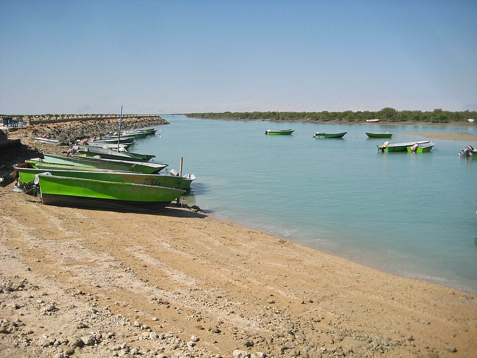 غابة الحرا (المانغروف)